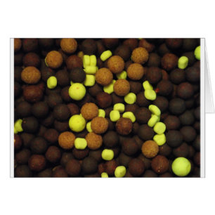 Vissende karper — galgen 2