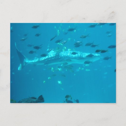 Visserij Briefkaart (Voorkant)