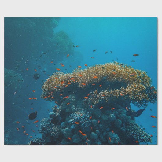 visserij en riffen cadeaupapier (Vlak)