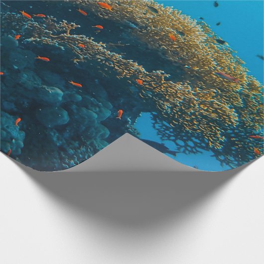 visserij en riffen cadeaupapier (Hoek)