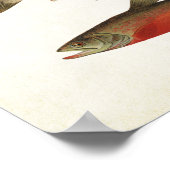  visserij - forel poster (Hoek)
