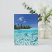 Visserij in de zee briefkaart (Staand voorkant)