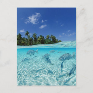 Visserij in de zee briefkaart