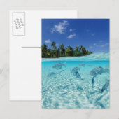 Visserij in de zee briefkaart (Voorkant / Achterkant)