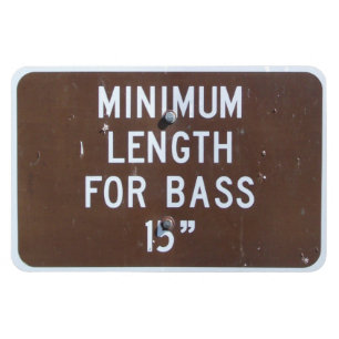 Visserijbord, minimale lengte baars magneet