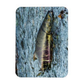 Vissers houden van zalm magneet (Verticaal)