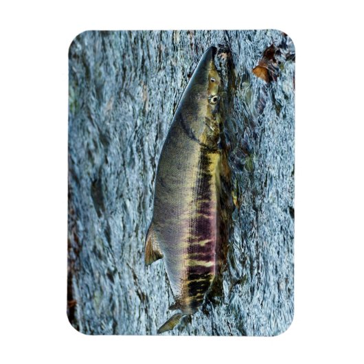 Vissers houden van zalm magneet (Verticaal)