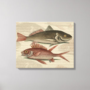 Vissers met roodbaars canvas afdruk