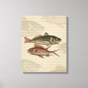 Vissers met roodbaars canvas afdruk