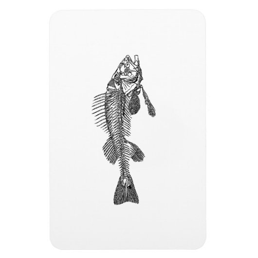 Visskelet Magneet (Verticaal)