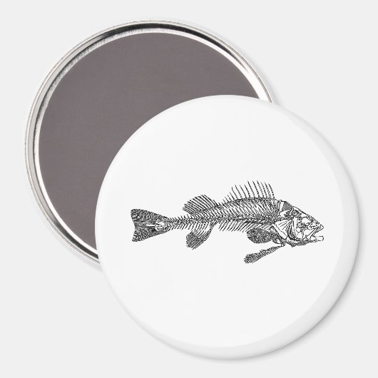 Visskelet Magneet (Voorkant / Achterkant)