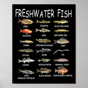 Vissoorten Biologie Soorten Zoetwatervis Vissen Poster