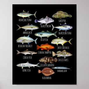 Vissoorten Biologie Soorten Zoutwatervis Vissen Poster
