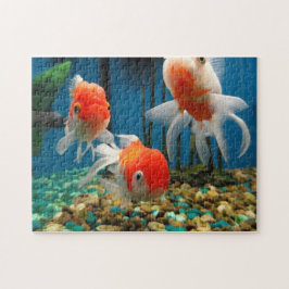 Vissoorten Legpuzzel