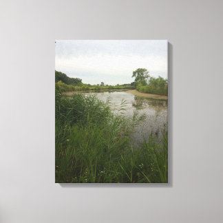 Vist in het land Verretched Canvas Print