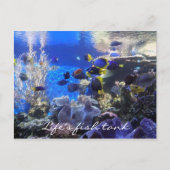 Vistank 2-postkaart briefkaart (Voorkant)