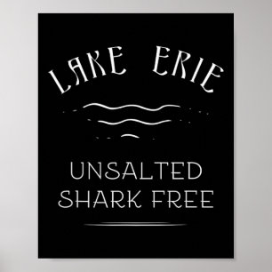 Visvakantie zonder zoutwatervis Lake Erie gratis g Poster