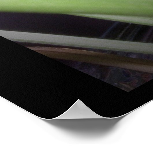 visvangst poster (Hoek)