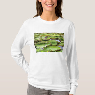 Vitoria Regis, reuzenwaterlelies in de Amazone T-shirt