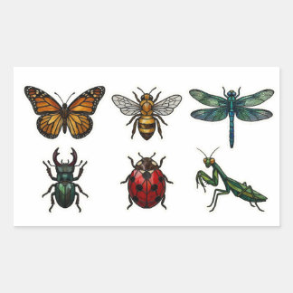Vitrail Insectes & Stickers de bestioles