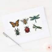 Vitrail Insectes & Stickers de bestioles (Enveloppe)