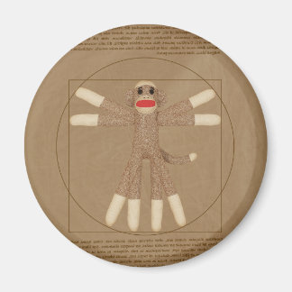 Vitruve Magnet de singe