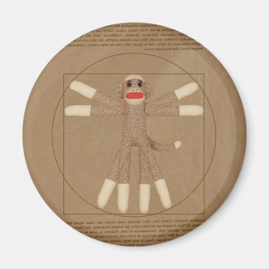 Vitruve Magnet de singe (Devant)