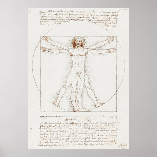 Vitruviaans Man Da Vinci Poster (Voorkant)