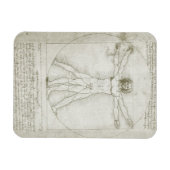Vitruviaans Man door Leonardo da Vinci Magneet (Horizontaal)