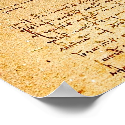 Vitruvian Man-Leonardo Da Vinci Poster (Hoek)