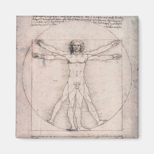 Vitruvian ManVitruvian Man, Leonardo da Vinci Magneet (Voorkant)