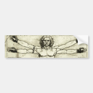 Vitruvian MMA Man Bumpersticker
