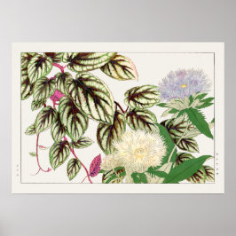 Vitus en Stokesia Flowers door Tanigami Konan, Poster