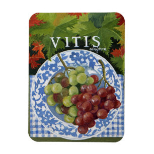 Vitus Magneet