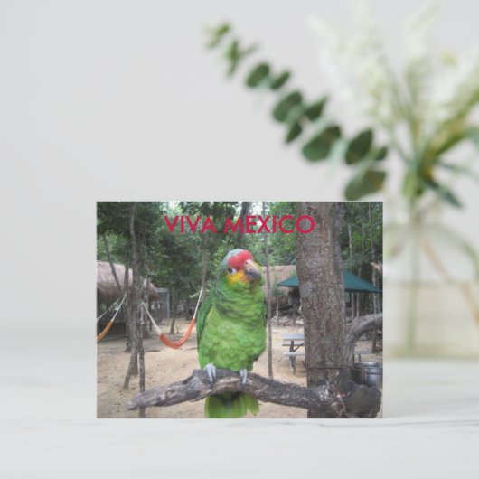 Viva Mexico Briefkaart (Staand voorkant)