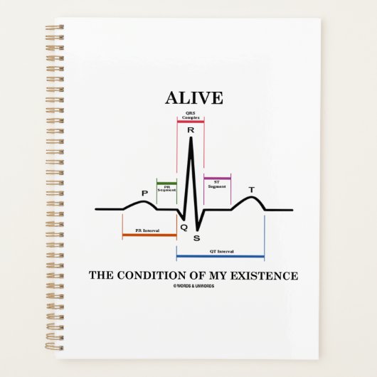 Vivant La Condition De Mon Existence Rythme Sinusa (Devant)