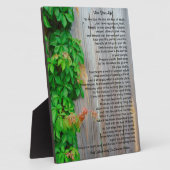 Vivez votre vie, plaque du chef Tecumseh (Côté)