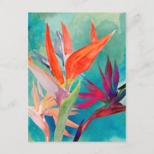 Vivid Birds of Paradise Briefkaart
