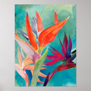 Vivid Birds of Paradise Poster