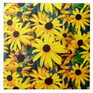 Vivid Black Eyed Susan Rudbeckia Melange Tegeltje