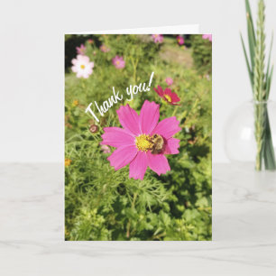 Vivid Cosmos rose Carte de remerciements