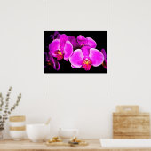 Vivid Orchid Poster (Keuken)