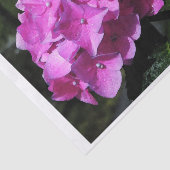 Vivid Pink Hydrangea Tissuepapier (Detail)