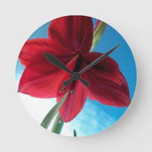 Vivid red Amaryllis Flower Ronde Klok