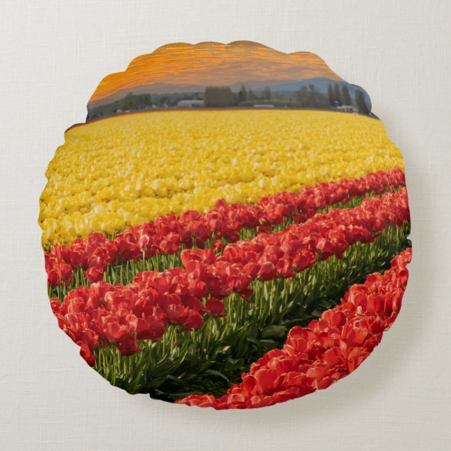 Vivid Red en Gold Tulips in Skagit County Accent Rond Kussen (Voorkant)