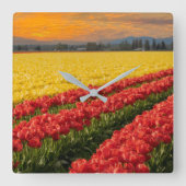 Vivid Red en Gold Tulips in Skagit County Accent Vierkante Klok (Voorkant)