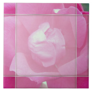 Vivid Rose rose 2 Carreaux de céramique photo
