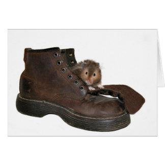 Vivre dans une chaussure