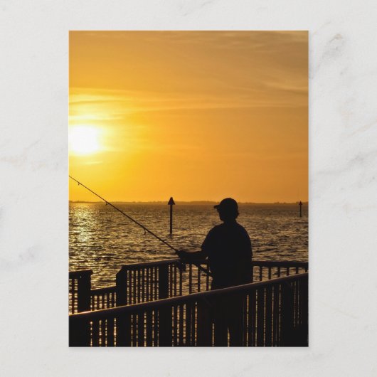 Vivre le rêve en Floride Carte postale (Devant)