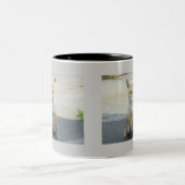 Vixen 11 Oz. Mug (Centre)